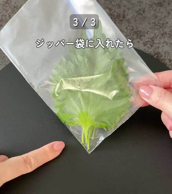 製氷皿に『大葉』を入れると…　完成したものに「発想が天才」「早速やる！」