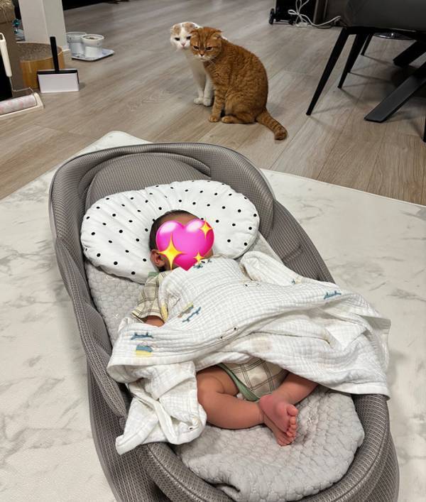 赤ちゃんを遠くから見守る猫　その場を離れたかと思いきや？「さすがに笑った」