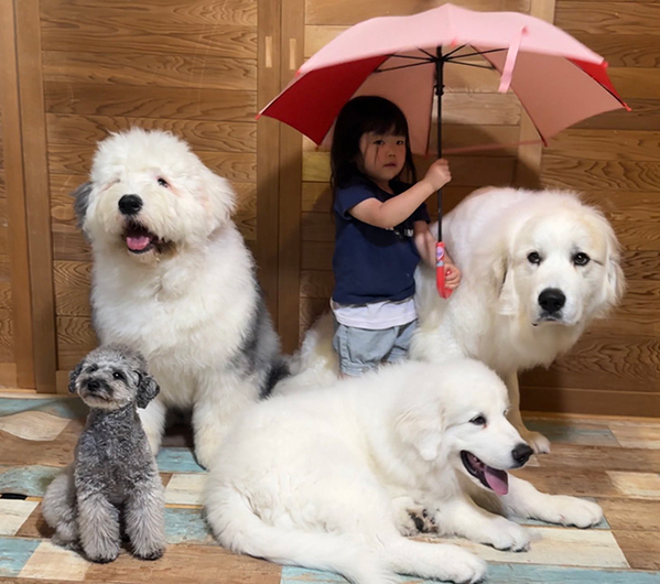 「こんな光景、夢みたい」「飾らせてほしい」　２歳娘と一緒に写る存在が？