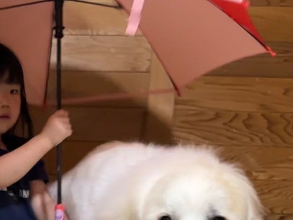 「こんな光景、夢みたい」「飾らせてほしい」　２歳娘と一緒に写る存在が？