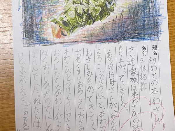しょ…小学４年生が描いただと！？　クオリティが高すぎる絵日記に「天才」「ゴッホ現る」
