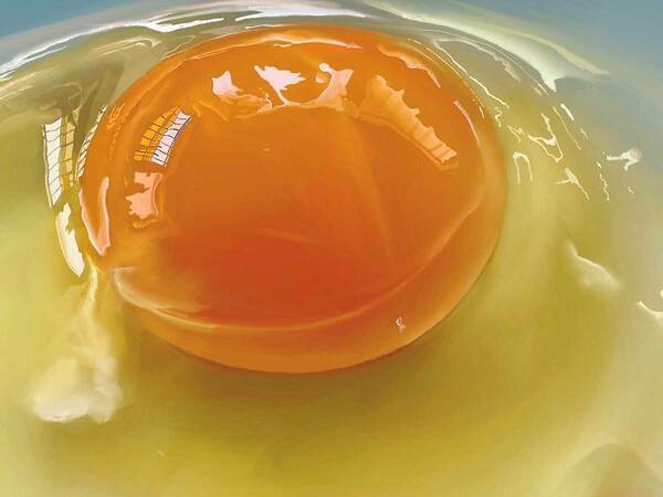 生卵に「信じられない」「これは震える」の声　よく見ると？