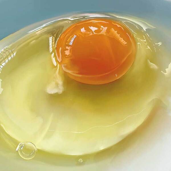 生卵に「信じられない」「これは震える」の声　よく見ると？