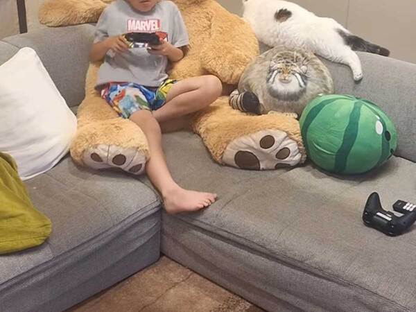 インテリアにまぎれこんだ『背もたれの主』に「分からなかった」「癒される」