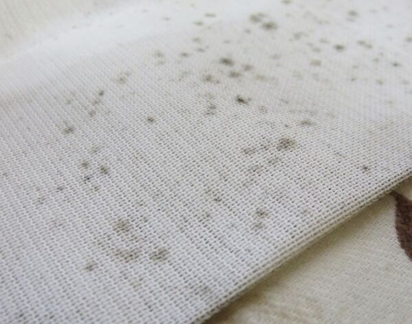 カビが広がる前に！　レースカーテンを傷めずにカビを落とす方法とは