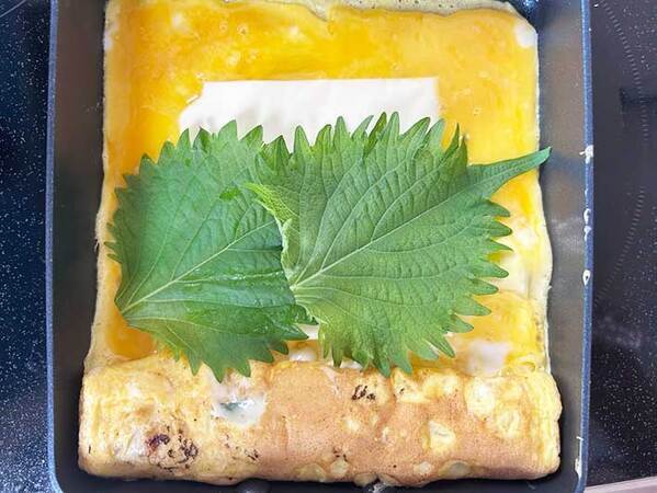大葉２枚のせて焼くと…？　玉子焼きの断面に「家族から好評」「きれい！」