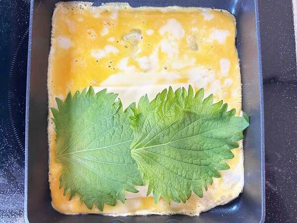 大葉２枚のせて焼くと…？　玉子焼きの断面に「家族から好評」「きれい！」