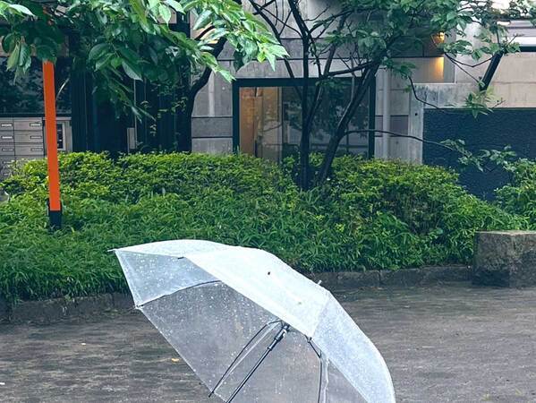 公園に放置されていた『開いた状態の傘』　近づくと？「優しい世界」「前世で善行を積んだのか」