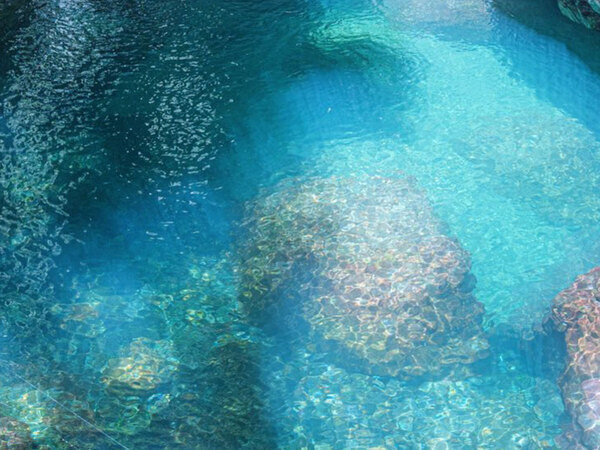 「回復できました！」　多くの人の心癒やした絶景写真がこちら