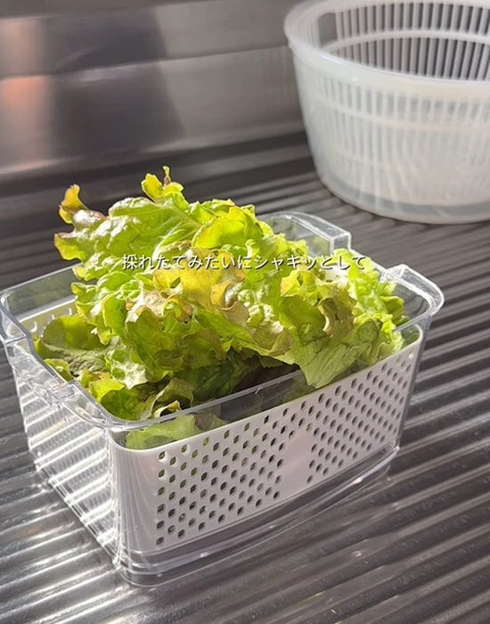 下味をつけて冷凍するだけ？　平日の料理がラクになる工夫に「毎回これでいい」「真似します」