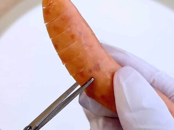 ウインナーに切り込みを入れて？　作ったものに「真似する」「天才ですね」