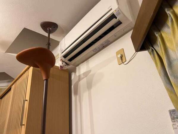 あなたは気付ける？　１枚をよーく見ると…「キャー！」「なぜそこに？」