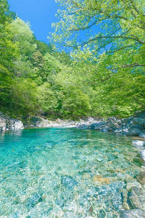 見るだけで涼しくなれる『絶景』　長野の１枚に「今すぐ飛び込みたい」