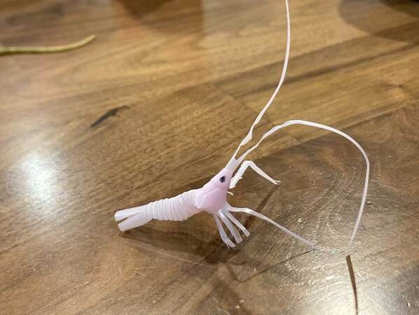 母親「息子に頼まれて作ったけど…」　完成したものに「天才」「すごすぎる」