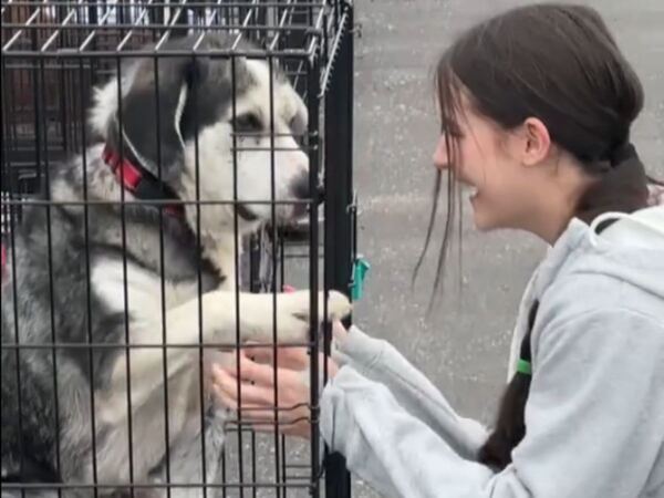 保護犬の譲渡会で、少女が真っ先に駆け寄った高齢犬が？「大泣きした」