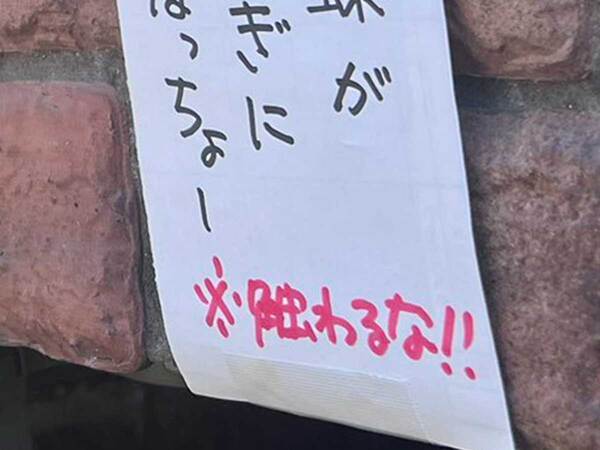 貼り紙「触るな！」　書かれていた内容に「優しい」「大事なこと」