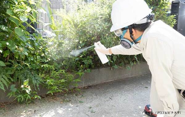 「これは困る」「泣きそうになった」　巣がないのに、ハチが大量発生する『理由』が…？