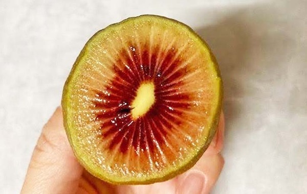 「こんなの初めてみた！」　一見普通のキウイ、しかし切ってみると…？