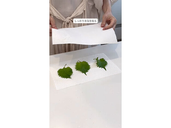 大葉を新鮮なまま保存するには？　セリアに保存に便利な商品があった！