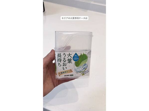 大葉を新鮮なまま保存するには？　セリアに保存に便利な商品があった！
