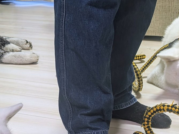 飼い主「散歩に行くよ」　足元を見ると…「笑った」「めっちゃ分かるよ」