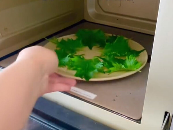 余った大葉はどうする？　３分でできる『意外な活用術』に「初めて知った」「目からウロコ」