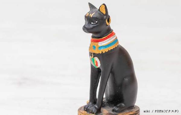 首にフルーツキャップを付けた猫　崇めたくなる１枚に「吹いた」「貴族の気品」