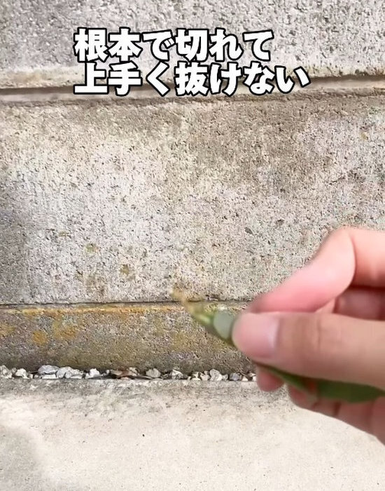 庭のお手入れに『除草剤』は使いません！　対処法に「こんな簡単だなんて」