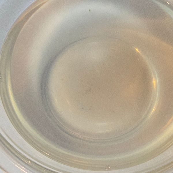 お湯にアサリを浸けたら？　１０分後の変化に「覚えておく」「やってみる」