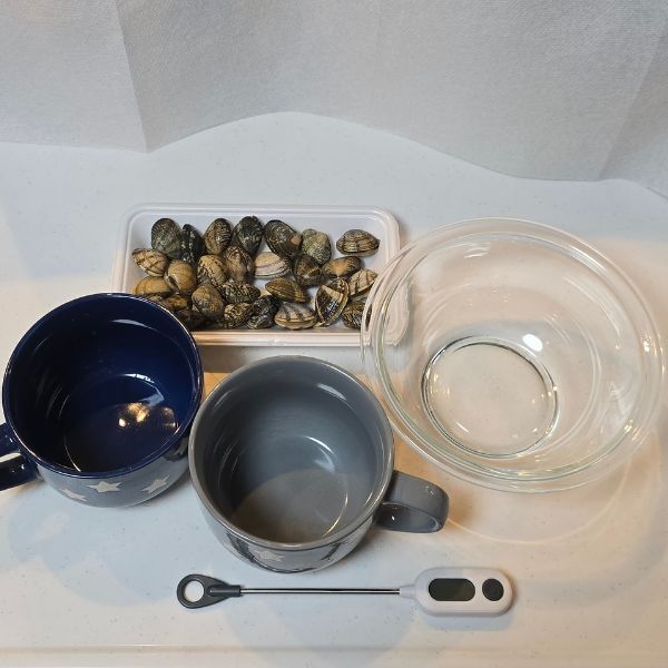 お湯にアサリを浸けたら？　１０分後の変化に「覚えておく」「やってみる」