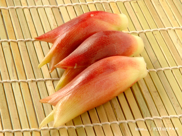 うまく切れないミョウガ　青果会社のアドバイスが？「なるほど」「参考になる！」