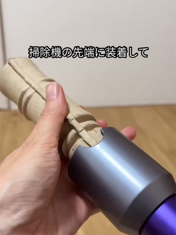 倒した後のゴキブリ、どう片付ける？　ダイソーで見つけた商品に「救世主！」