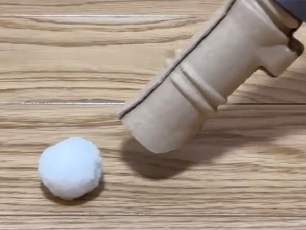 倒した後のゴキブリ、どう片付ける？　ダイソーで見つけた商品に「救世主！」