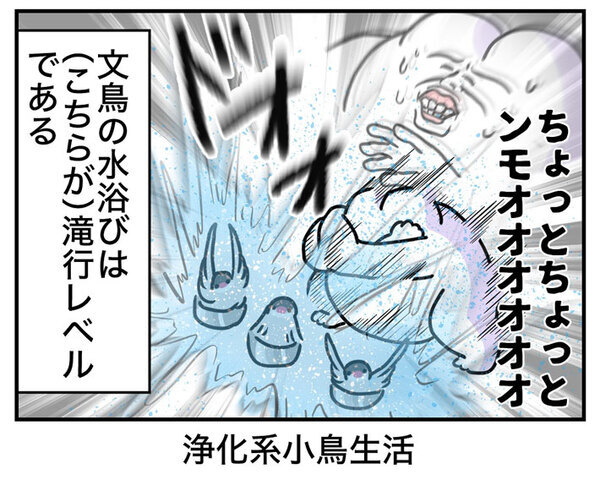 飼い主「滝行レベル」　文鳥の水浴びが…「腹筋が崩壊した」「想像以上だった」