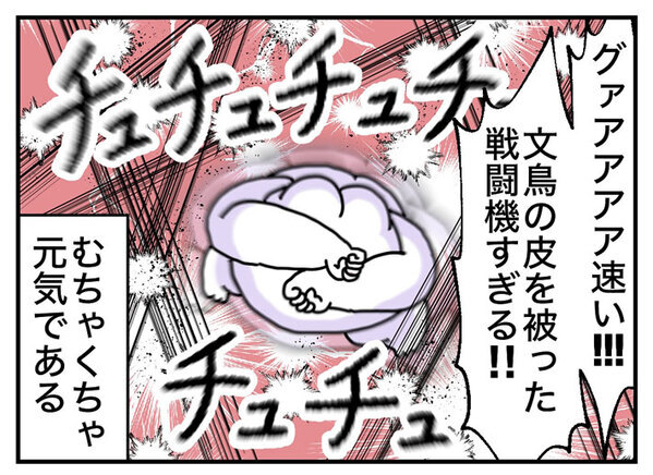 飼い主「滝行レベル」　文鳥の水浴びが…「腹筋が崩壊した」「想像以上だった」