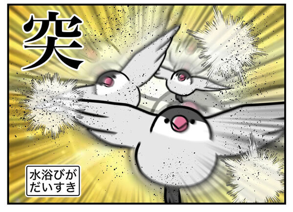 飼い主「滝行レベル」　文鳥の水浴びが…「腹筋が崩壊した」「想像以上だった」