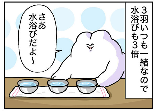 飼い主「滝行レベル」　文鳥の水浴びが…「腹筋が崩壊した」「想像以上だった」