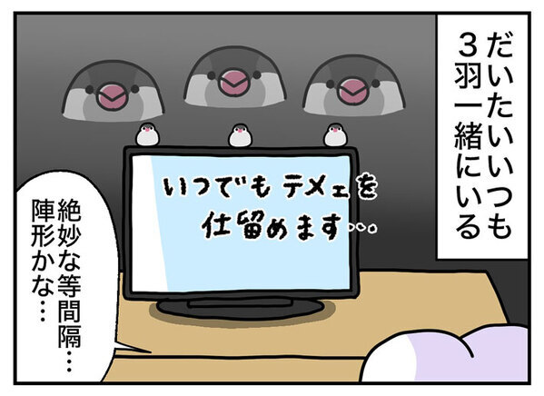 飼い主「滝行レベル」　文鳥の水浴びが…「腹筋が崩壊した」「想像以上だった」