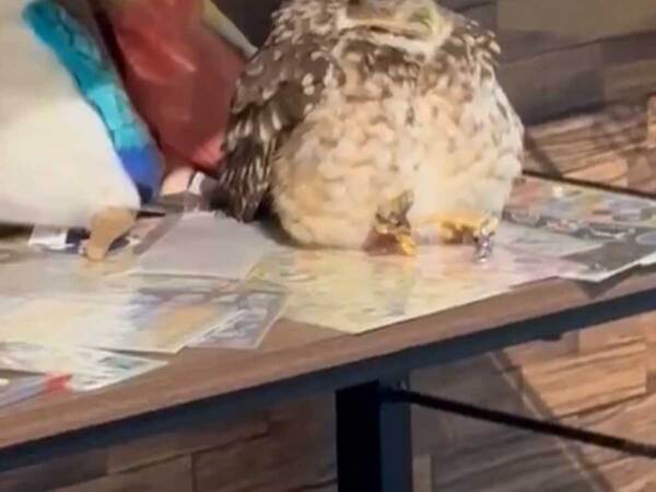 店「お客さんは気付かない」　雑貨と一緒に並んでいたのは…？