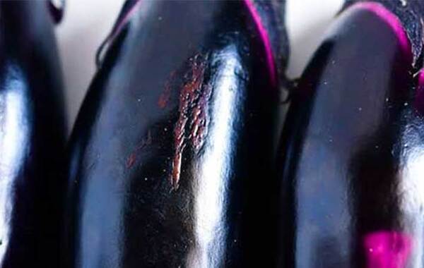 新鮮でおいしいナスはどこを見るといい？　JAが教える『正解』はこちら