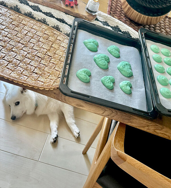 マカロン作りに試行錯誤するも失敗　実は焼く前から『匂わせ』をしていた存在が…