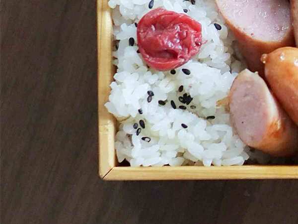 女性が作った弁当　主役はウインナー、横にはさらに？　「ご飯１０膳いける！」