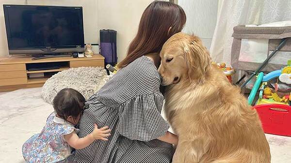 ゴールデンレトリバーを真似する１歳児　写真に「幸せな構図」「全部かわいい」
