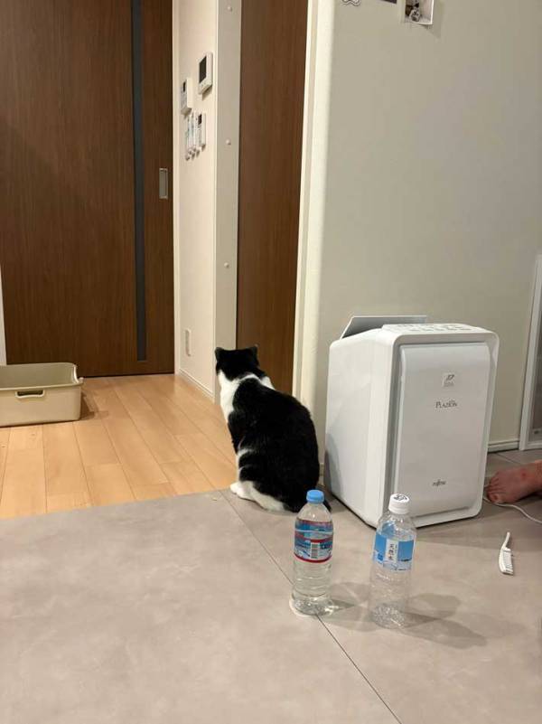 飼い主ではなく…　愛猫が風呂場の前で待っていたのは？