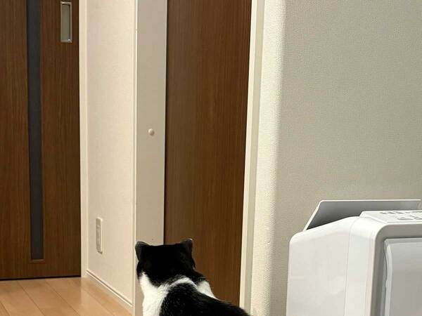 飼い主ではなく…　愛猫が風呂場の前で待っていたのは？