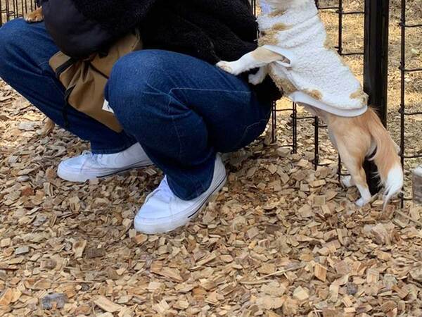 ドッグランに来たのに…　愛犬がとった行動に「笑った」「私もやられたい」