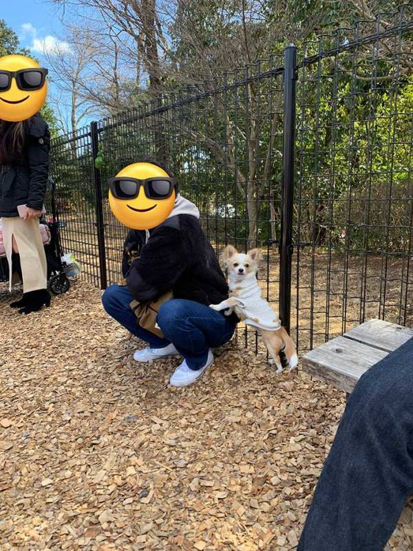 ドッグランに来たのに…　愛犬がとった行動に「笑った」「私もやられたい」