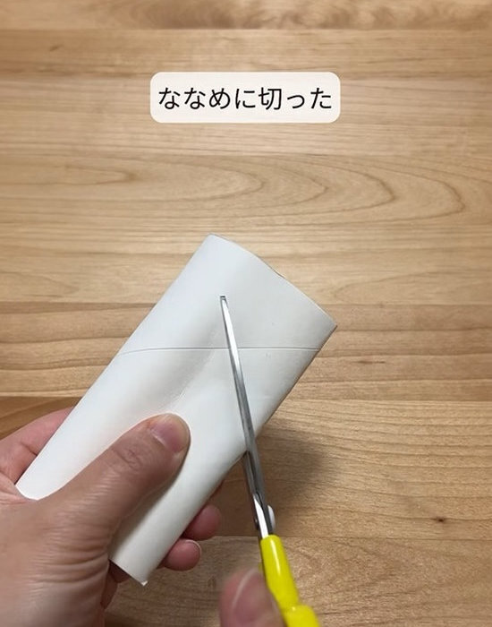 トイレットペーパーの芯を掃除機に取り付けて…　驚きの光景に「天才じゃん」