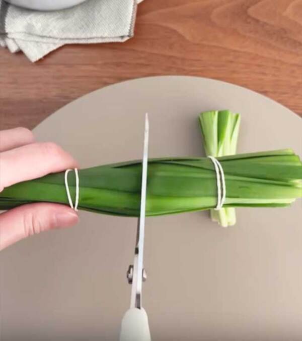 余りがちな『ニラ』　輪ゴムで数か所束ねた後？「その手があった」「賢い」