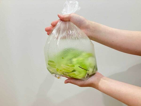 ちぎったレタスを袋に入れて？　全農のレシピに「何度も作ってる」「ひと玉ペロリ」